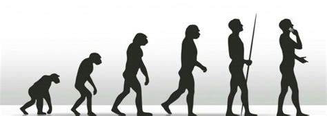 Write evolutionary history ofnodern man.I want big answer - Brainly.in