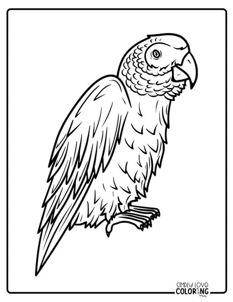 Image result for Parrot Coloring Pages
