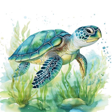Green sea turtle drawing png free download – Artofit