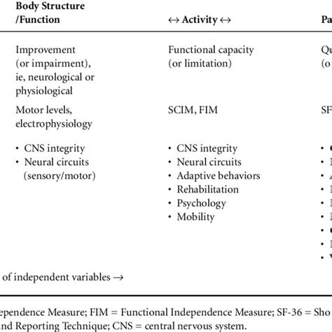 Image result for International Classification of Functioning Disability and Health