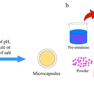 Image result for Microencapsulation Process