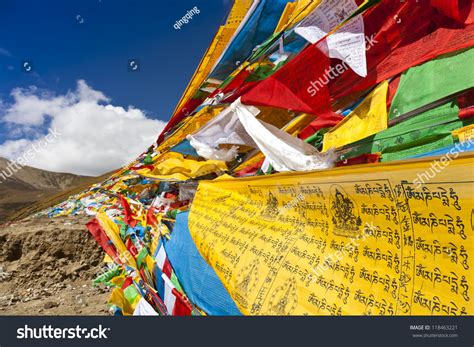 Premium Template for PowerPoint & Google Slides (iiplnkjji)