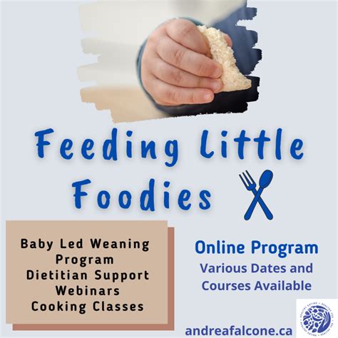 Image result for Cooking Programs