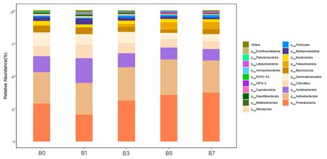 Effects of Biochar on the Yield of Melon and the Diversity of ...