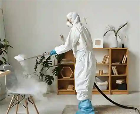Home - Maa Kamakhya Pest-Control Company