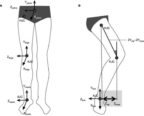 Image result for Development Leg Alignment