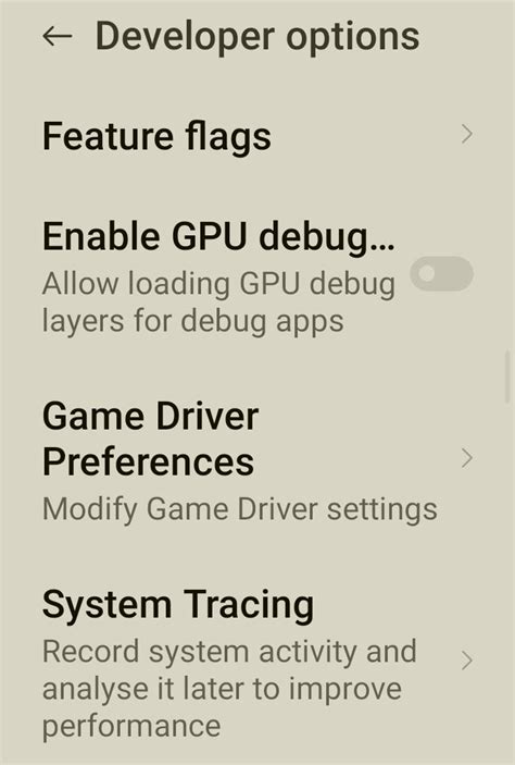 what is game drive preference option in developer mode of setting? pls ...