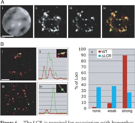 Image result for Locus Control Region Gene Expression