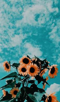 Summer Aesthetic Wallpapers by Summer Aesthetic Wallpapers Top Free Summer Aesthetic Summer Aesthetic Wallpapers
