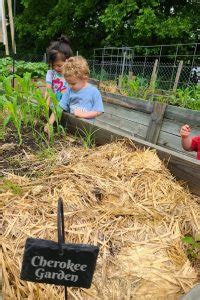 Native American Children Learning 的图像结果