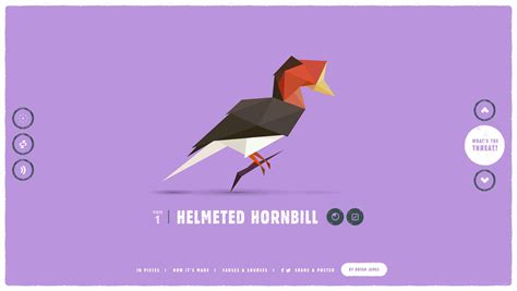 Image result for Examples of Infographic Design