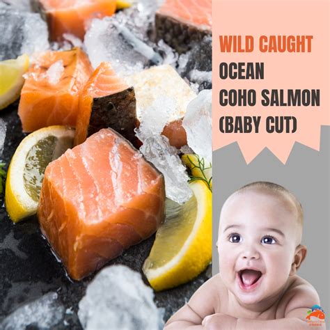 Canned Salmon Babies at Lucy Sutcliffe blog