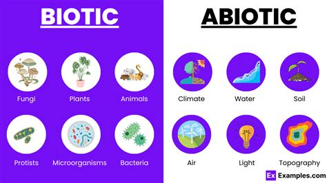 Image result for Abiotic Components Examples