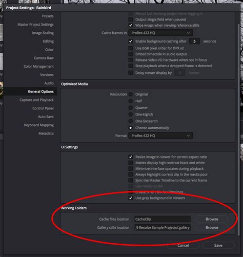 Image result for Resolve Shell