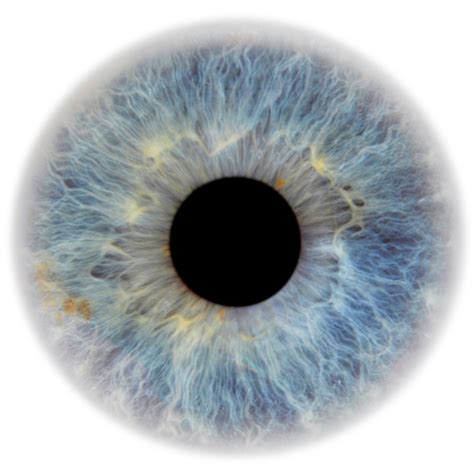 Blue Eyes PNG Transparent Images | PNG All