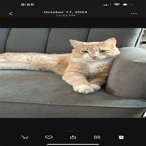 Corona Animal Shelter in Corona, CA