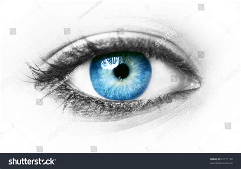 363,696 Model Beauty Blue Eye Images, Stock Photos & Vectors | Shutterstock