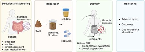 Gut Dysbiosis and Fecal Microbiota Transplantation in Pancreatic Cancer ...