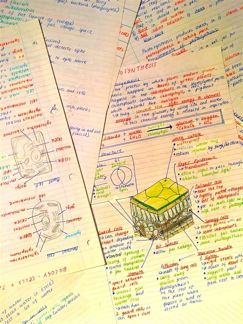 Science Revision Notes 的图像结果