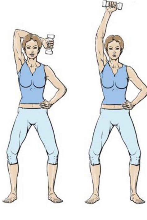 Image result for Exercices Musculation Bras