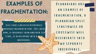 Image result for Fragmentation Animals. Examples