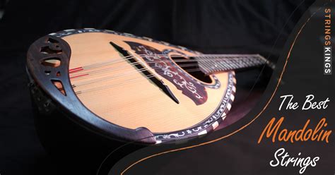 Image result for Elixir Mandolin Strings