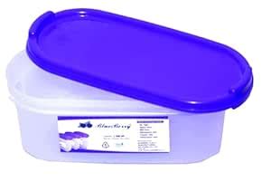 Buy BLUEBERRY Oval Shape Container Perfect For Storage Solution ...