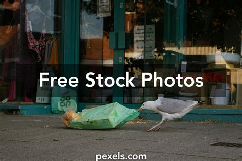 Food Waste Animation 的图像结果