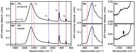 Biogenic Calcium Carbonate: Phase Conversion in Aqueous Suspensions
