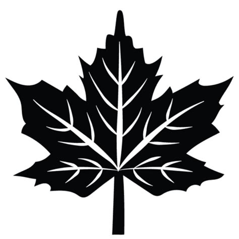 Juharfa levél - ovis jel nyomda - Török Szilvi Varázslatos Világa