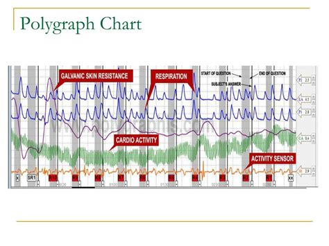 Image result for Polygraph Example