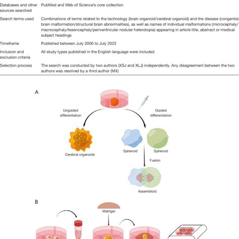 Brain Processing Unit 的图像结果