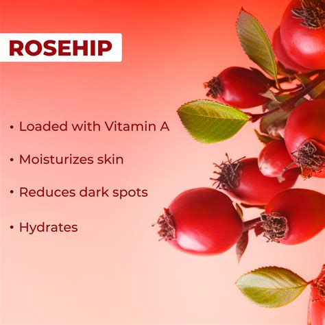 Rosehip Radiant Glow Face Serum with Vit - E – Good Vibes