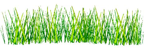 Image result for Load Deflection Machine