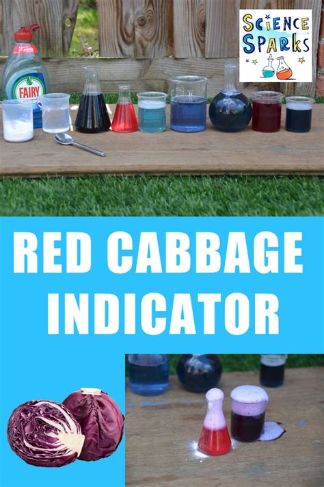 Red Cabbage Indicator 的图像结果