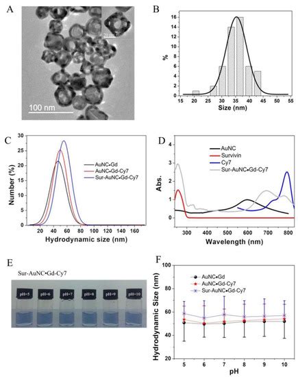 A Gold Nanocage Probe Targeting Survivin for the Diagnosis of ...