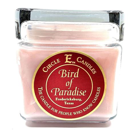 Circle E Candles, Bird of Paradise Scent, 32oz Jar Candle, 2 Wicks, 155 ...