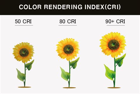 Color-Rendering Index 的图像结果