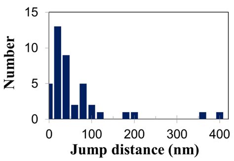 Dynamic Interaction between Dislocation and Irradiation-Induced Defects ...