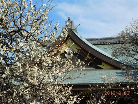 THE 10 CLOSEST Hotels to Yushima Tenjin Ume Blossom Matsuri, Bunkyo