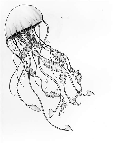 Jellyfish Outline Tattoos