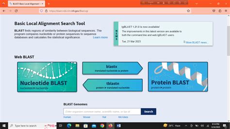 Blast Biotechnology Example 的图像结果