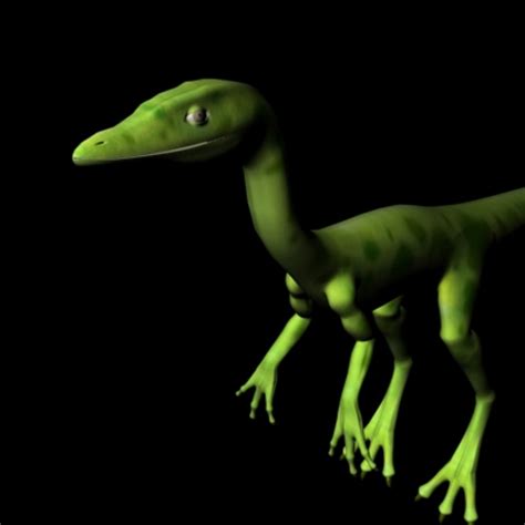 Compy Comp 的图像结果