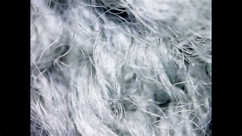 Image result for Wool Under a Microscope