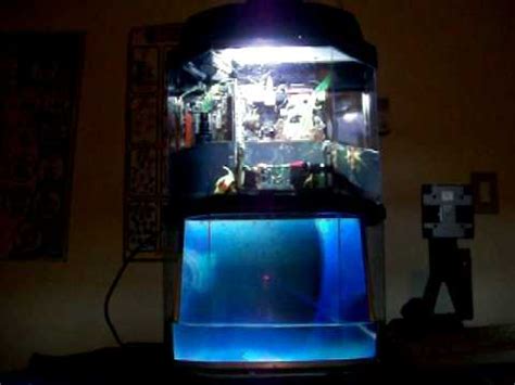 Image result for Submerged Computer