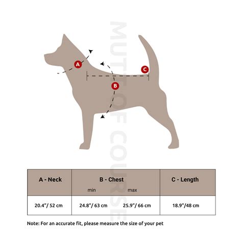 Warm Jacket For Street Dogs – Mutt of Course