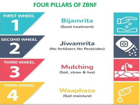 Components Of Zbnf
