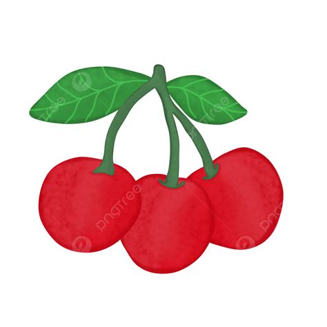 Illustration Of Cherry Fruit, Illustration, Cherries, Fruit PNG ...