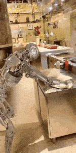 Robot Fails 的图像结果