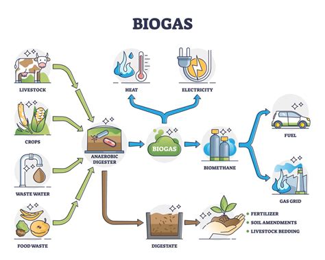 What Is Biogas? Is It Sustainable?